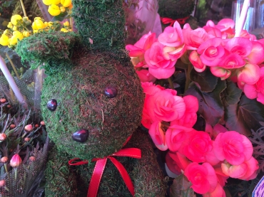 大阪府東大阪市の花屋 はなずきん チェリーにフラワーギフトはお任せください 当店は 安心と信頼の花キューピット加盟店です 花キューピットタウン